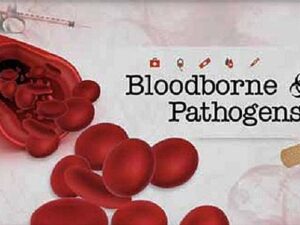 bloodbornePathogen_0